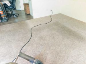 Carpet Cleaning Professional