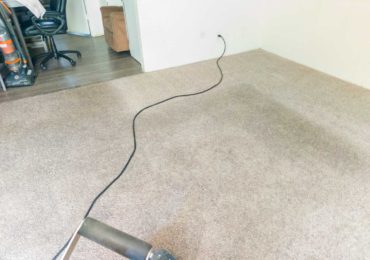 Carpet Cleaning Professional