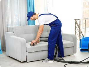 Upholstery Cleaner