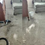 Carpet Cleaning Before and After