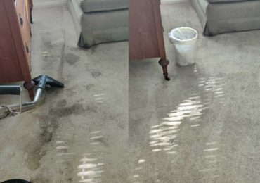 Carpet Cleaning Before and After