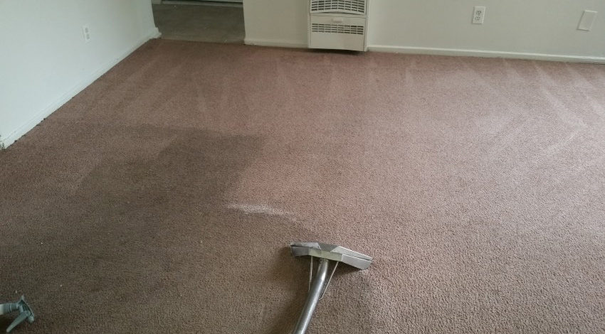 Carpet Cleaning in Encino