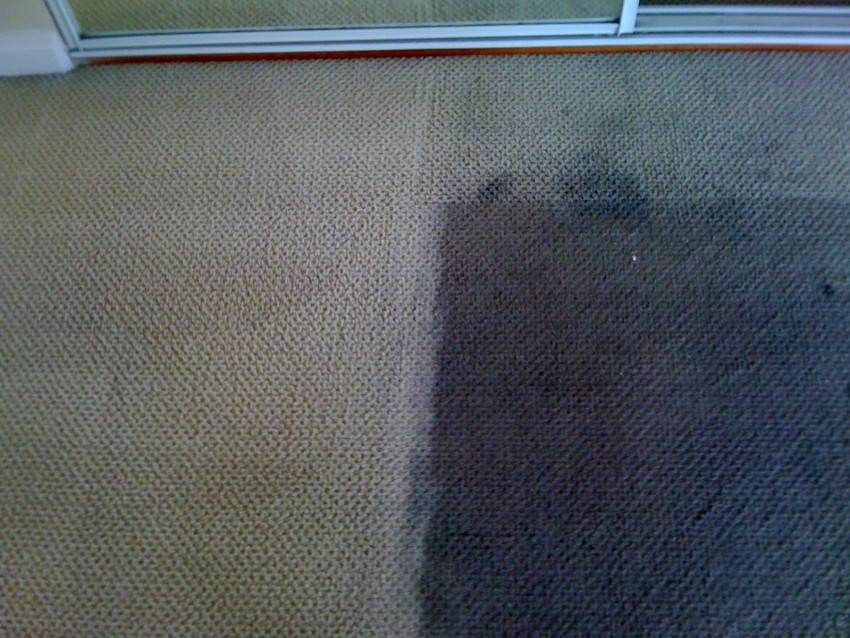 Carpet Cleaning in Northridge