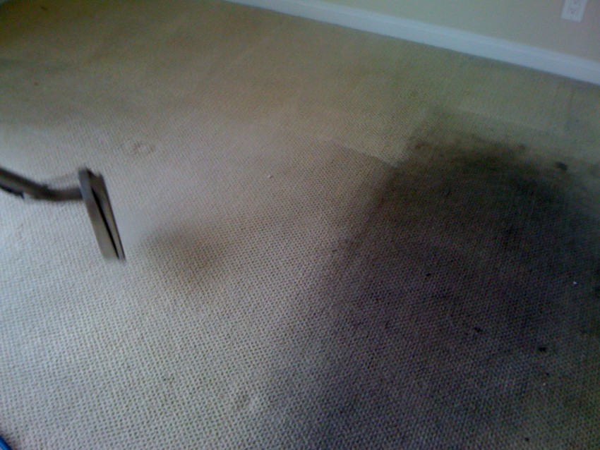 Carpet Cleaning in Reseda