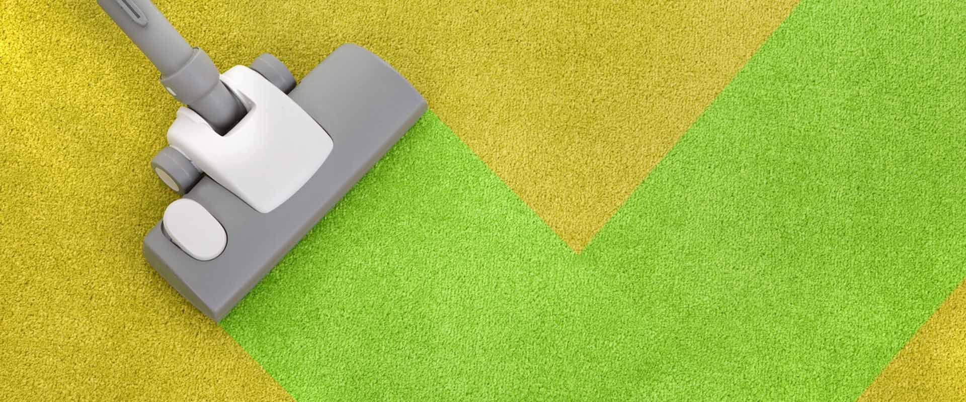 Carpet Cleaning in Tarzana